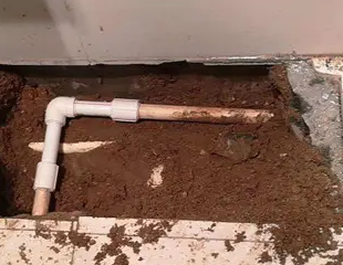 沭阳测漏水哪家好